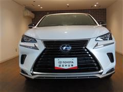 NX300h スパイス&シック