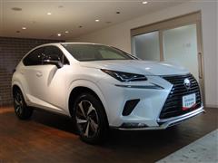 NX300h スパイス&シック