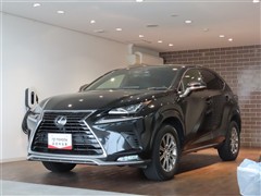 NX300 スパイス&シック