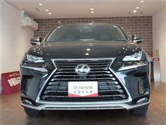 NX300 スパイス&シック