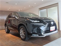 NX300 スパイス&シック