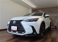 レクサス NX250 バージョンL
