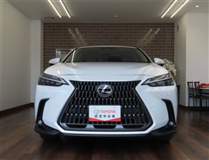NX250 バージョンL