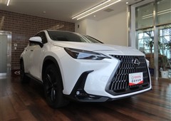 NX250 バージョンL