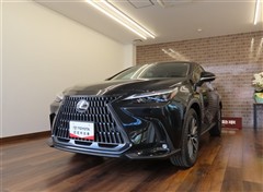 レクサス NX250 バージョンL