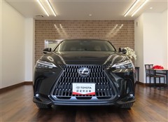 NX250 バージョンL