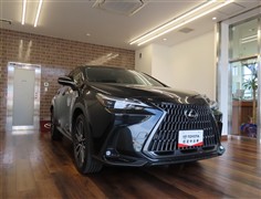 NX250 バージョンL