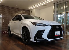 NX350 Fスポーツ
