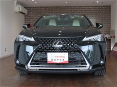 UX250h バージョンL