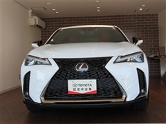 UX250h Fスポーツ