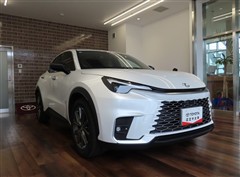 LBX リラックス 4WD
