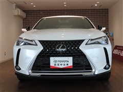 UX250h バージョンL