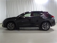 UX250h Fスポーツ