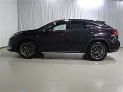 RX300 F SPORT