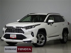RAV4 G 4WD
