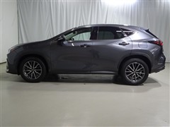 NX250 バージョンL