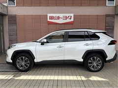 RAV4 G