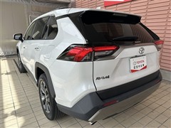 RAV4 G