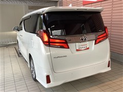 アルファードS タイプゴールド2