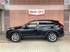 RAV4 G Zパッケージ