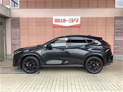 NX350 Fスポーツ