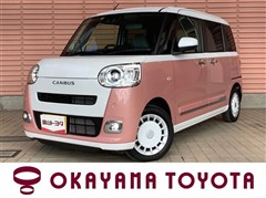 ムーヴキャンバス ストライプス G