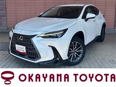 NX350h ヒョウジュンシャ