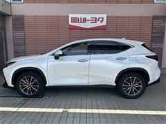 NX350h ヒョウジュンシャ