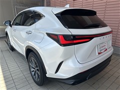 NX350h ヒョウジュンシャ