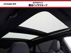 ハリアーHV Z レザーパッケージ