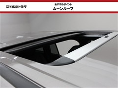 ランドクルーザー250 VX