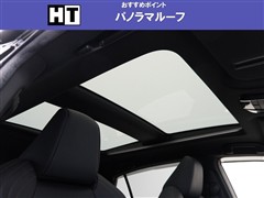 ハリアーHV Z レザーパッケージ