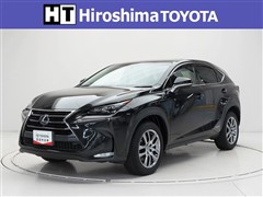 NX300h バージョンL