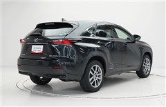 NX300h バージョンL