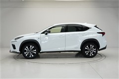 NX300h Fスポーツ