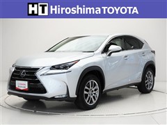 NX300h バージョンL