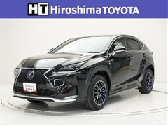 NX300h Fスポーツ