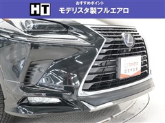NX300h ヒョウジュンシャ