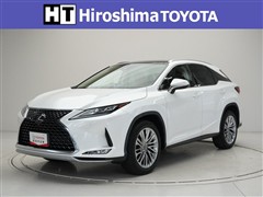 RX300 バージョンL