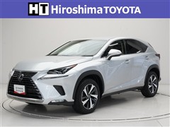 NX300h Iパッケージ