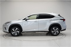 NX300h Iパッケージ