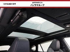 ハリアーHV Z レザーパッケージ