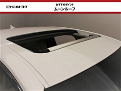 GS250 Ipkg