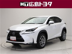 NX300h Iパッケージ