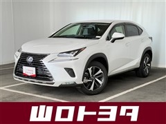 NX300h バージョンL