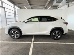 NX300h バージョンL