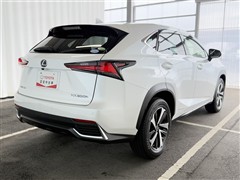 NX300h バージョンL