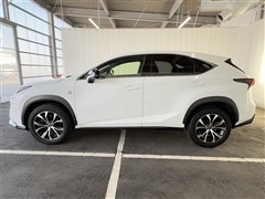 NX200t Fスポーツ