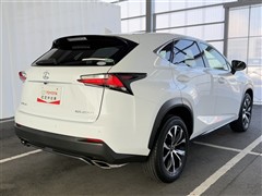 NX200t Fスポーツ