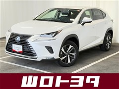 NX300h バージョンL